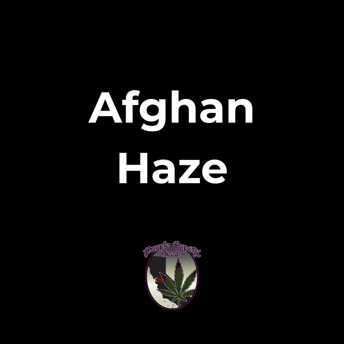Afghan Haze