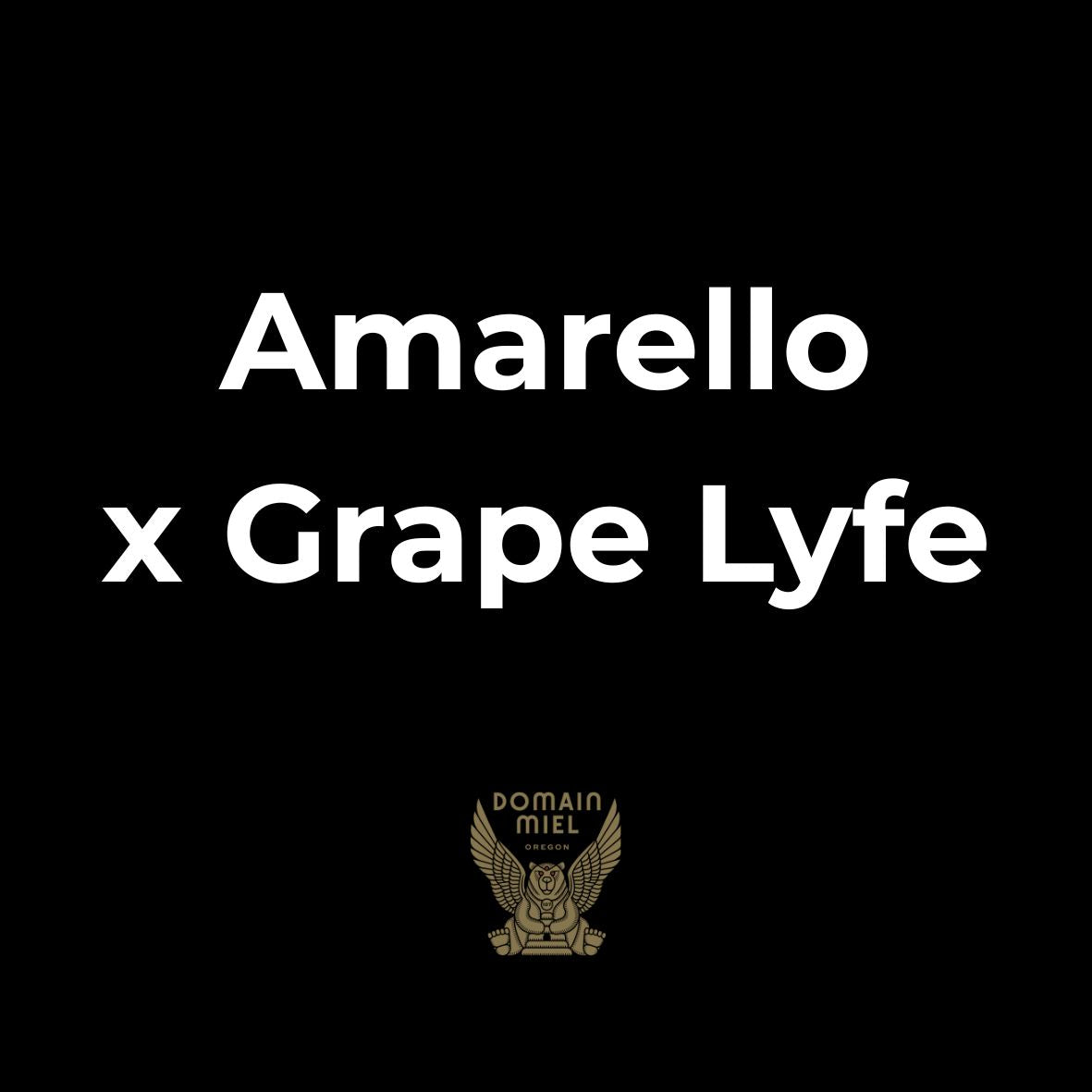 Amarello x Grape Lyfe