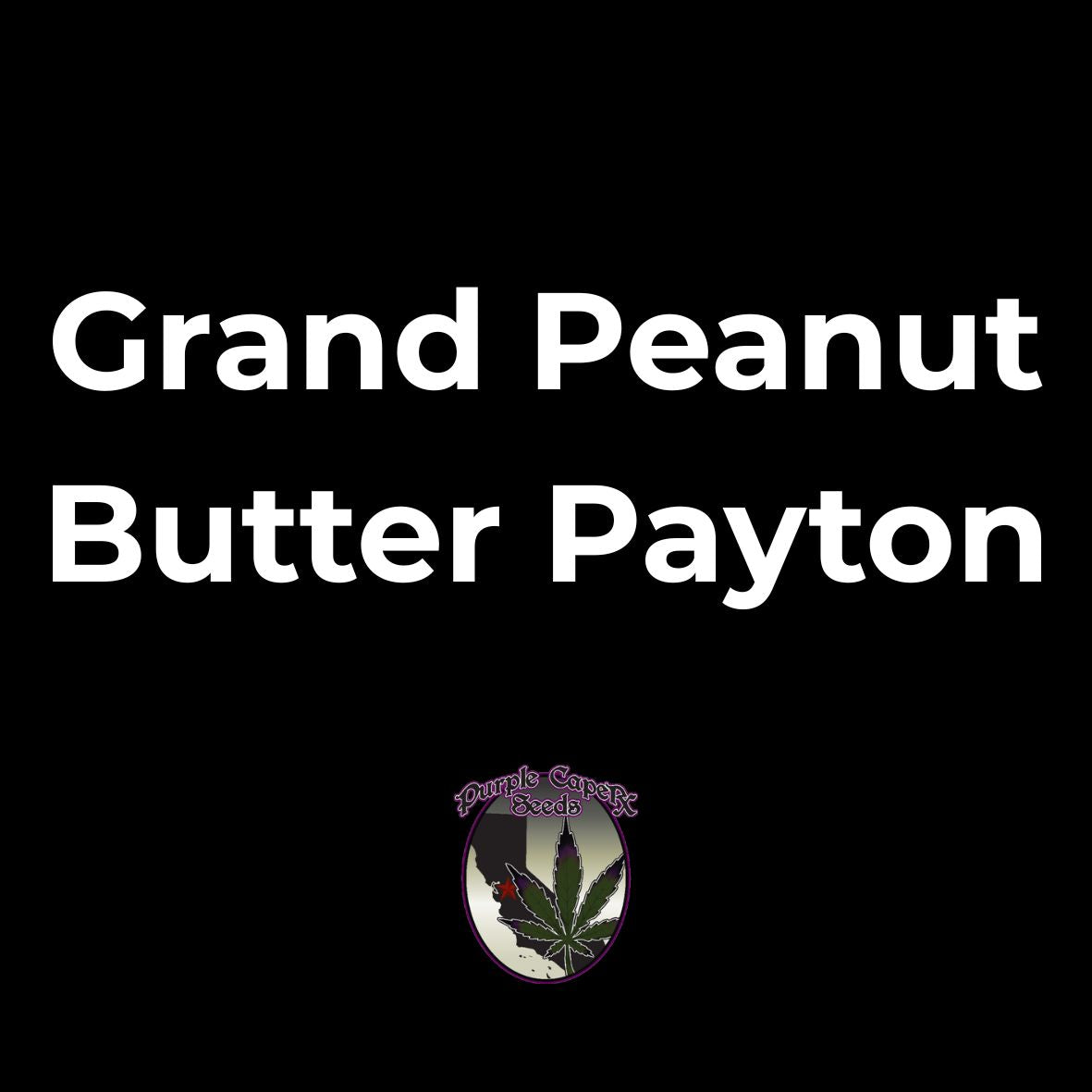 Grand Peanut Butter Payton