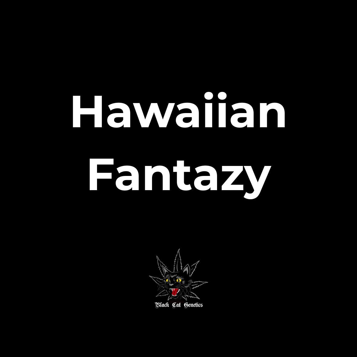 Hawaiian Fantazy