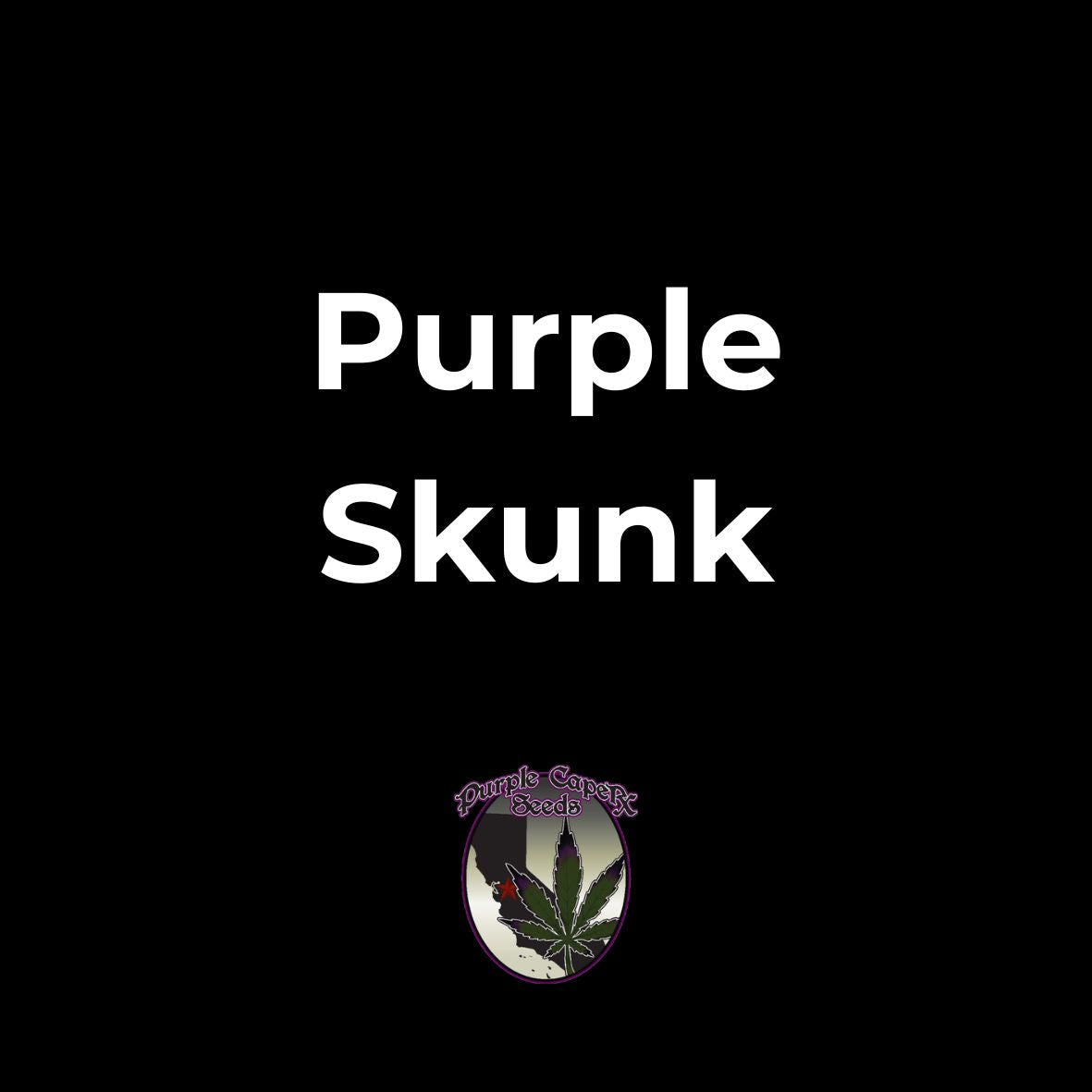 Purple Skunk