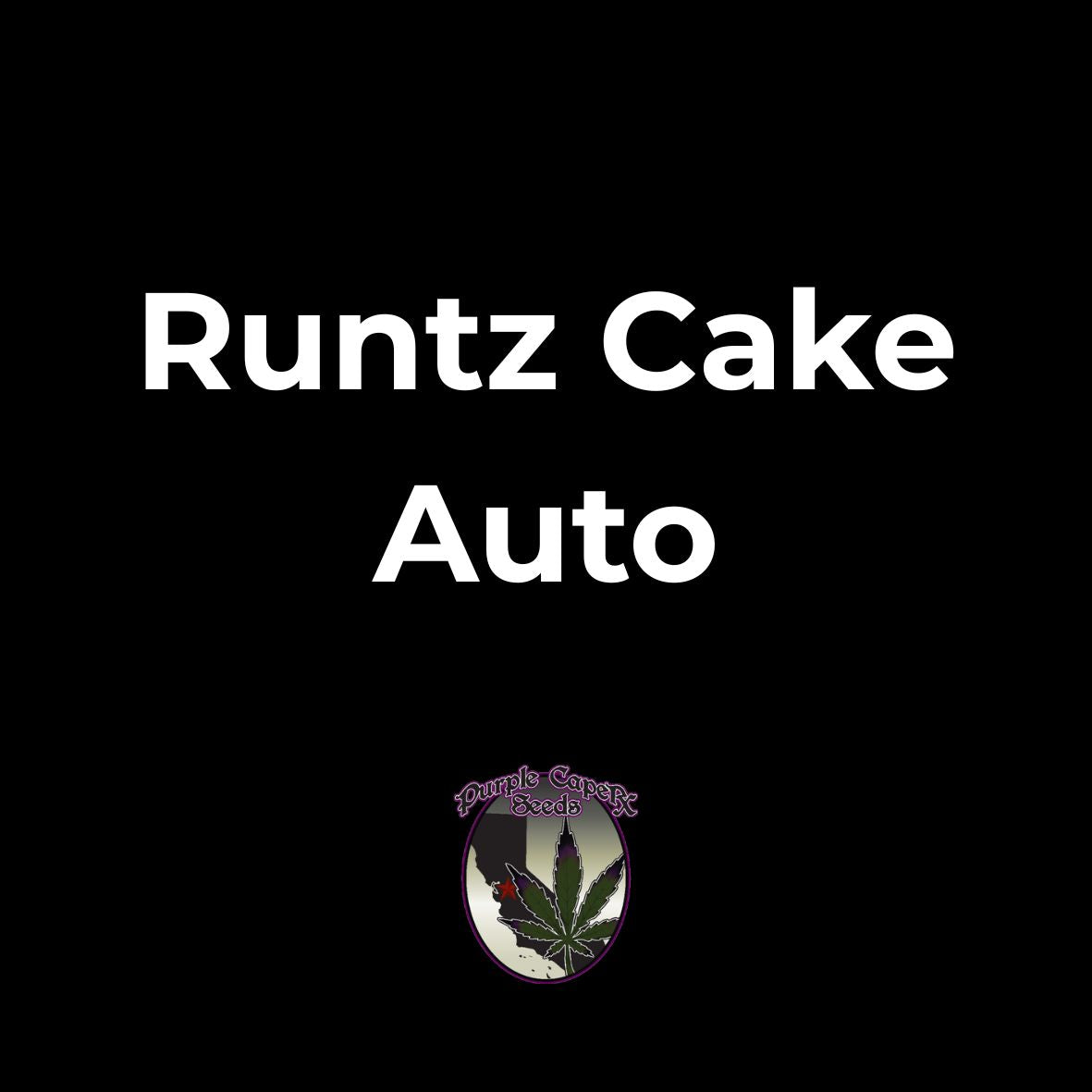 Runtz Cake Auto